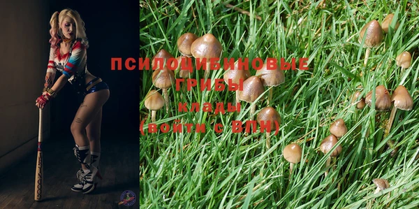 экстази Липки