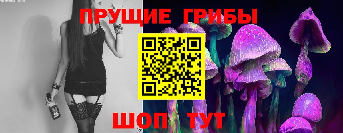 Псилоцибиновые грибы GOLDEN TEACHER  Вход с VPN  Людиново  Псилоцибиновые грибы ЛСД 