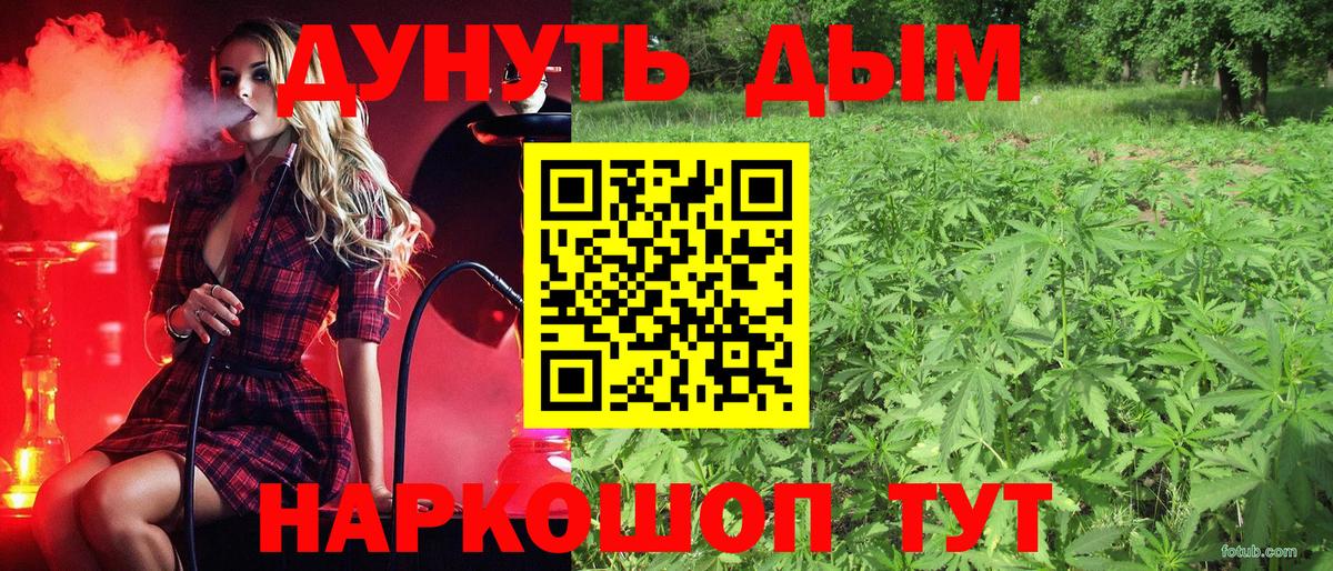 МАРИХУАНА сатива Людиново